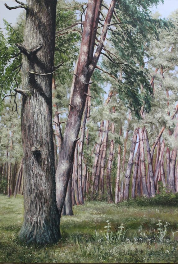 An Oak Among Pine Trees — summer memories oil painting by Viktor Kucheryavyy, 80 x 55 cm