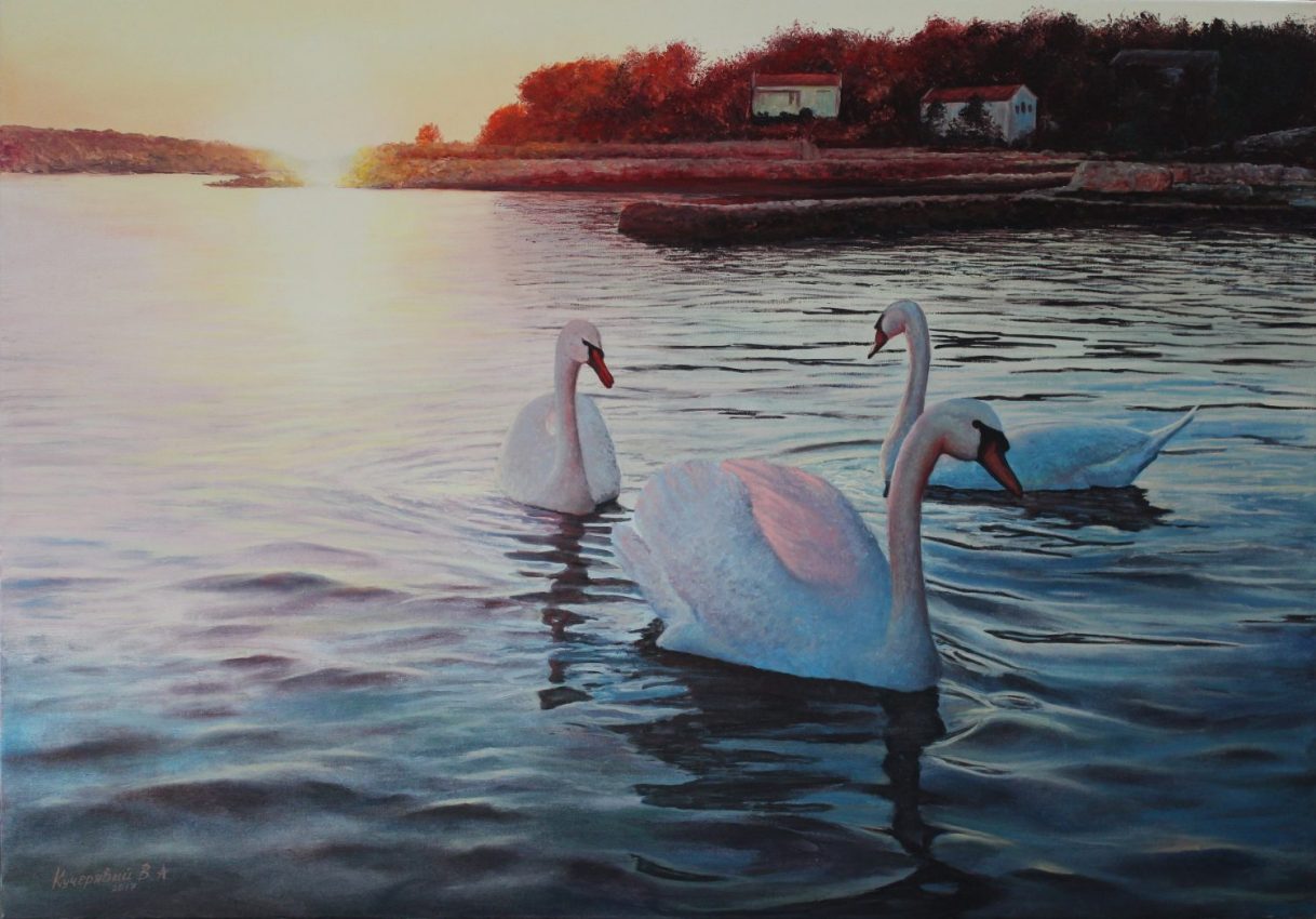 Swans Dancing — animals oil painting by Viktor Kucheryavyy, 70 x 100 cm