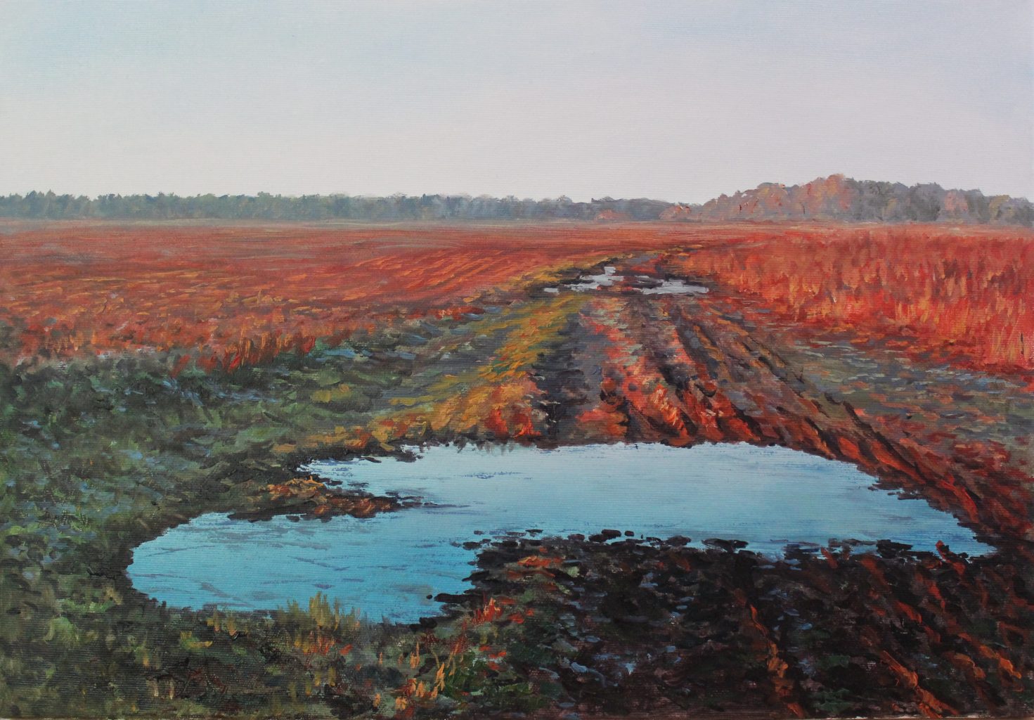 Red Fields — original oil on canvas painting by Viktor Kucheryavyy, 35 x 50 cm