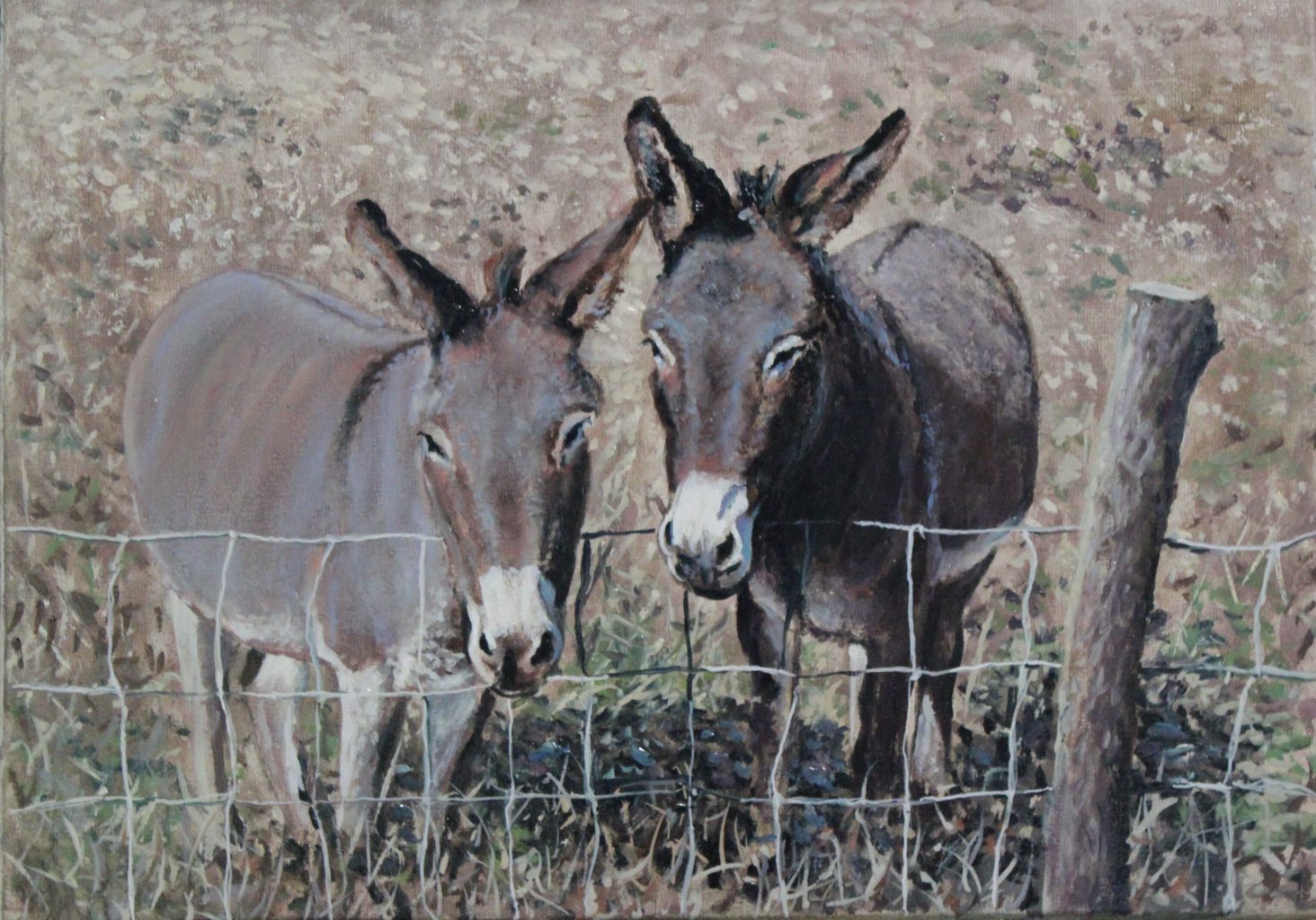 Donkeys — animals oil painting by Viktor Kucheryavyy, 
