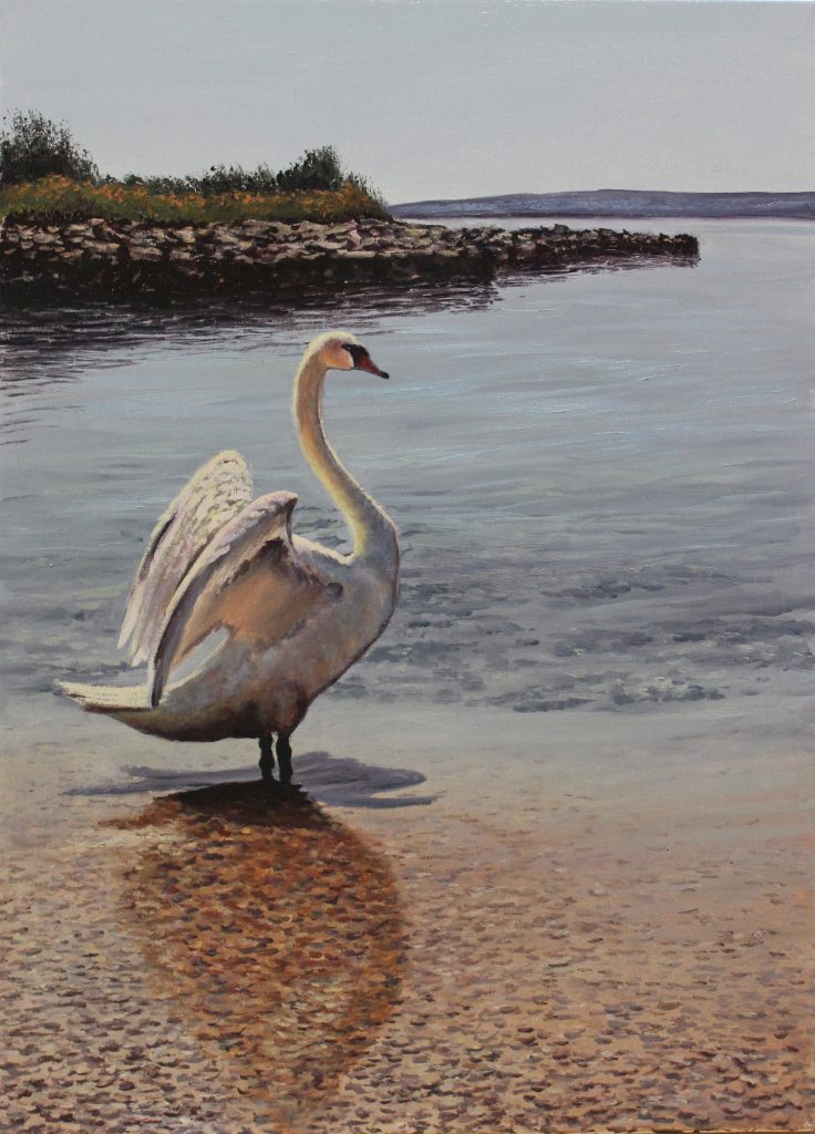 Swan I — animals oil painting by Viktor Kucheryavyy, 