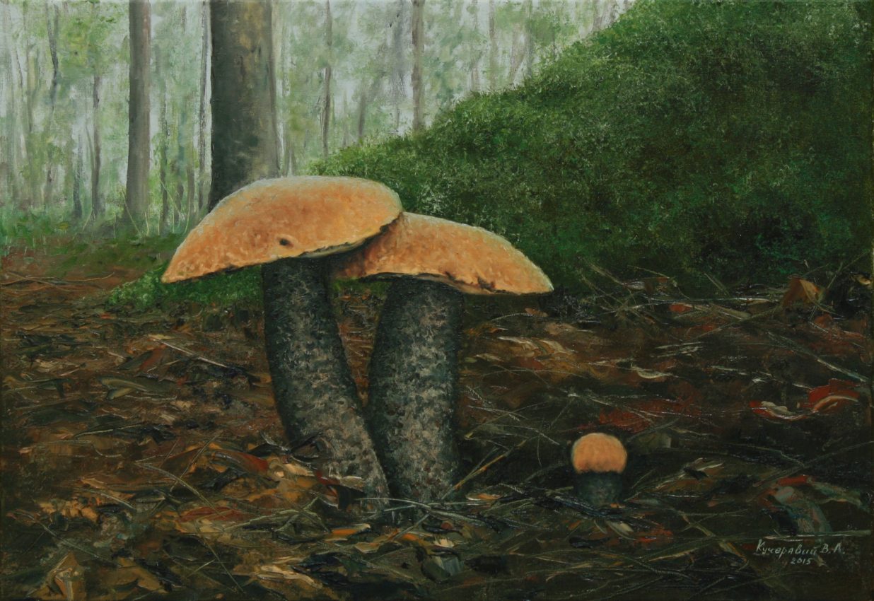 Mushroom Hunting — original oil on canvas painting by Viktor Kucheryavyy